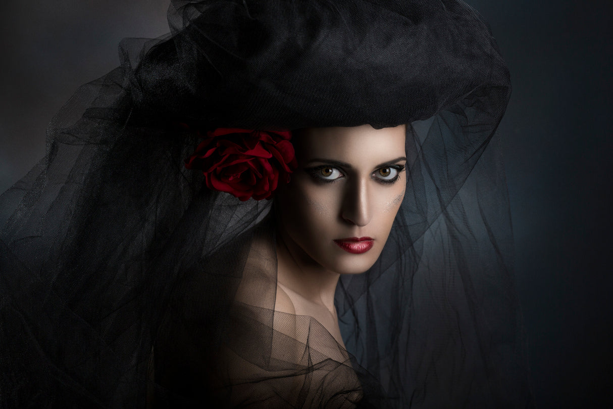 The red rose Poster och Canvastavla