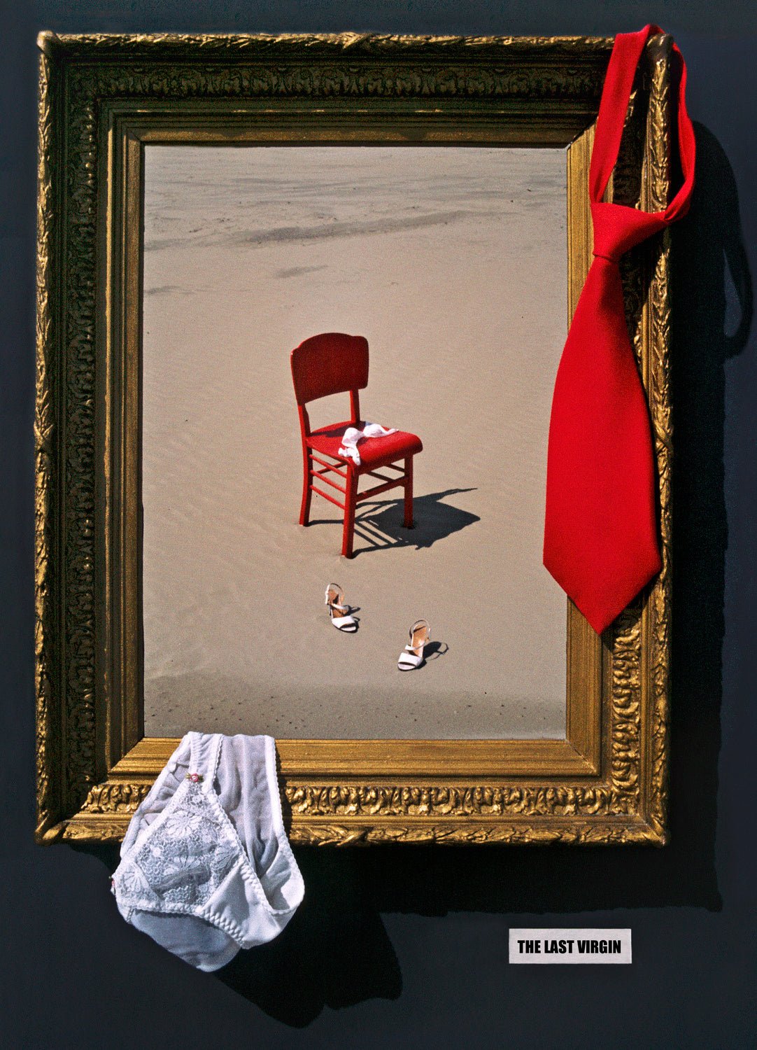 the last virgin Poster och Canvastavla
