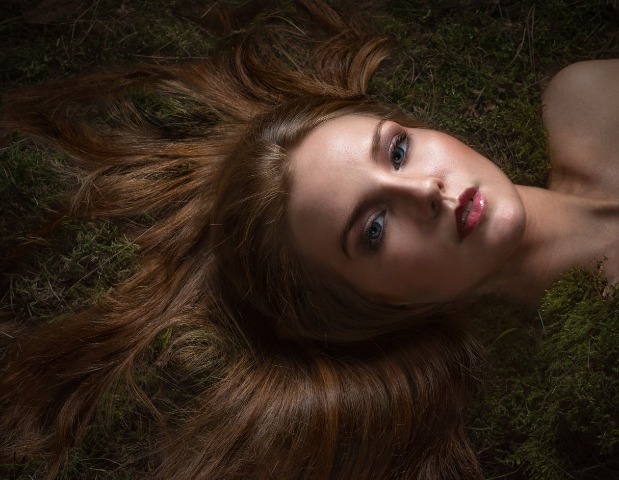 Forest Lights Poster och Canvastavla