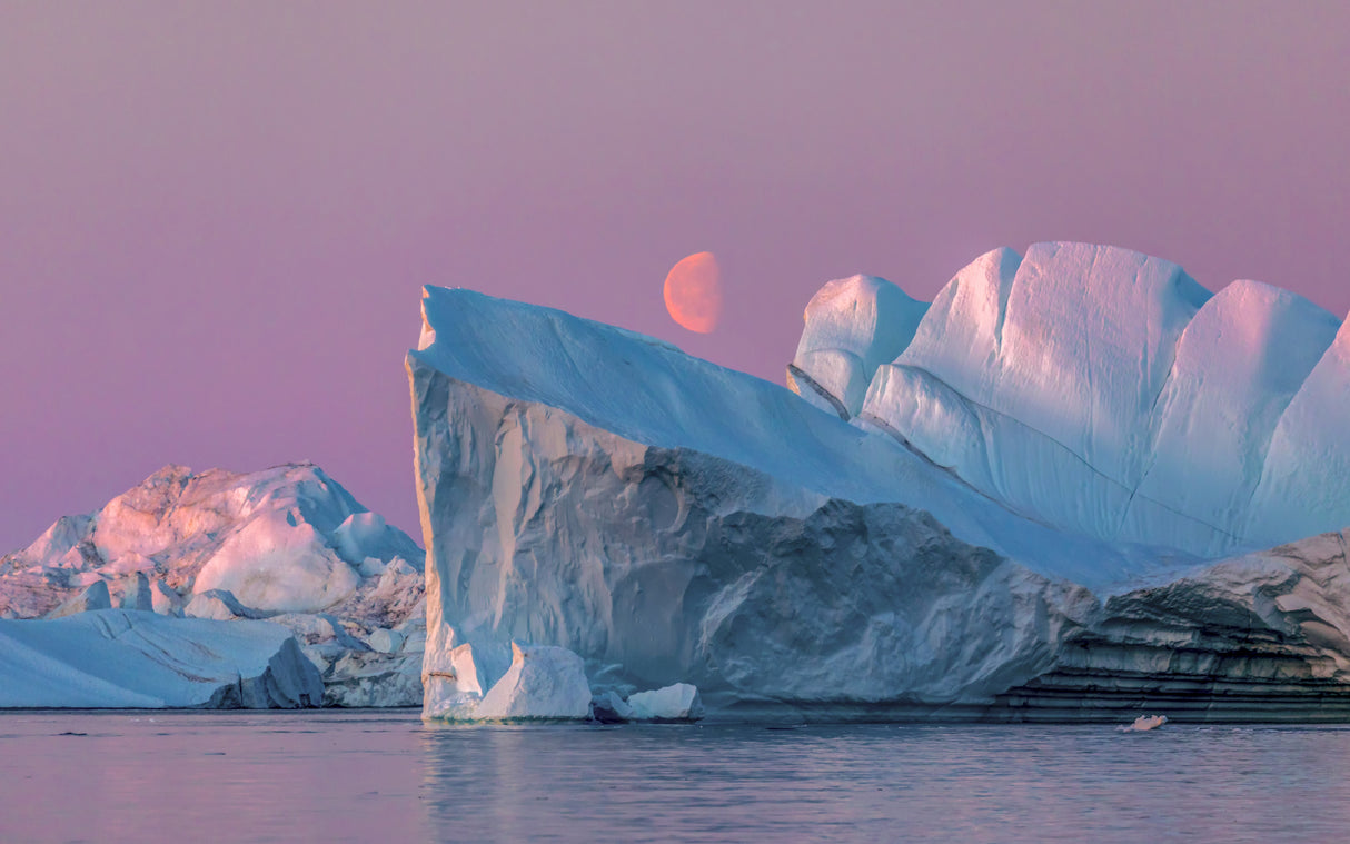 The Midnight Moon in Ilulissat Icefjord Poster och Canvastavla