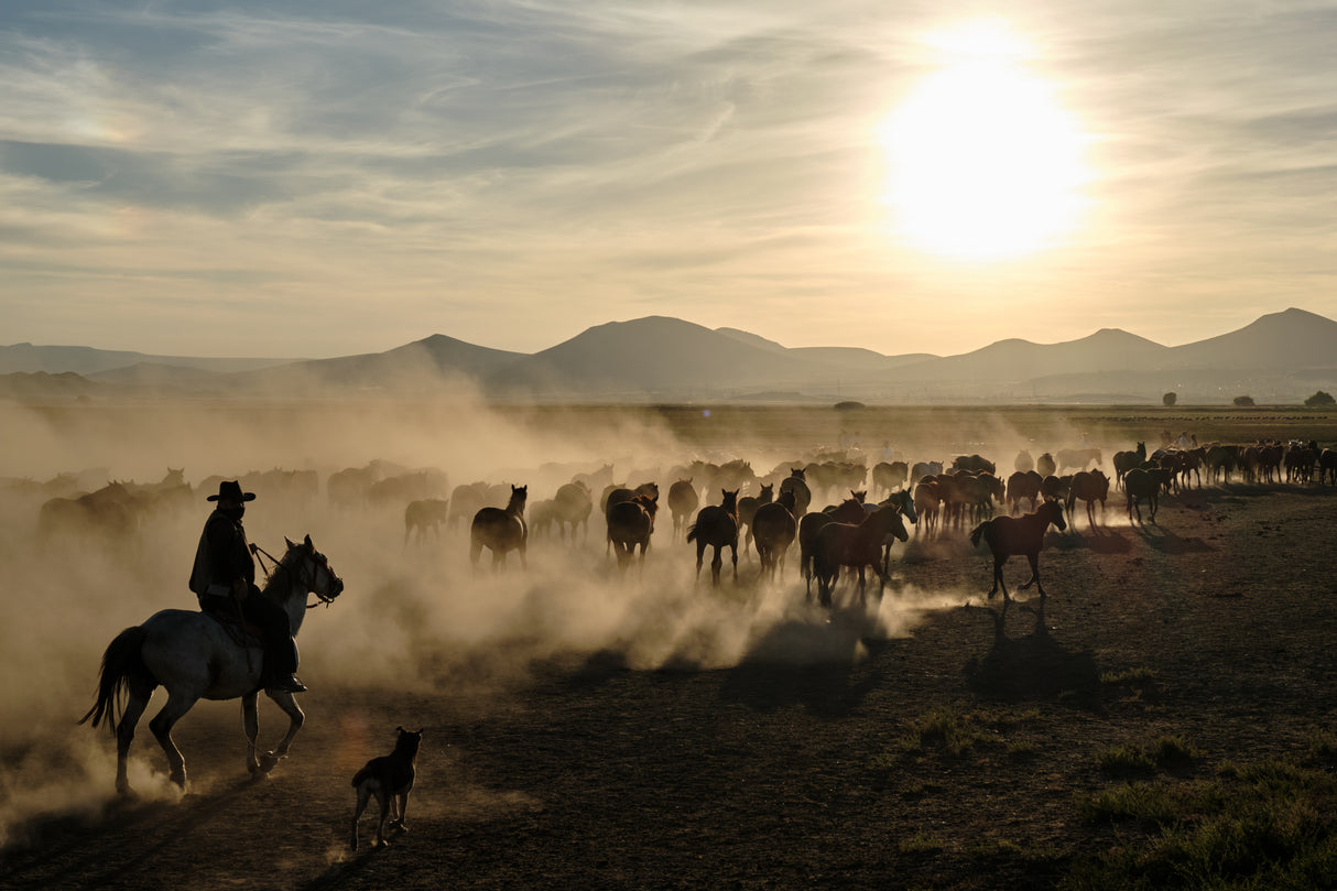 wild west Poster och Canvastavla