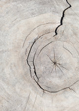 Pattern_wood_2 Poster och Canvastavla
