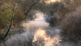 Into the fog. Poster och Canvastavla
