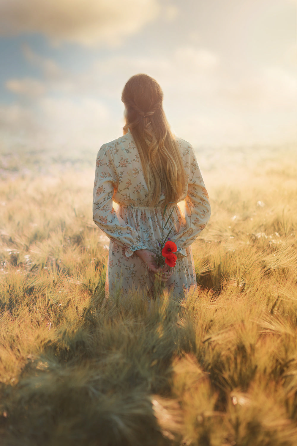 Poppies and the Girl Poster och Canvastavla