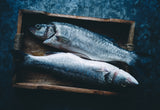 Two fishes Poster och Canvastavla
