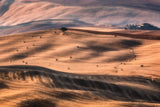 Val d'Orcia Poster och Canvastavla