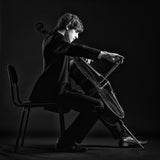 Musician. Poster och Canvastavla