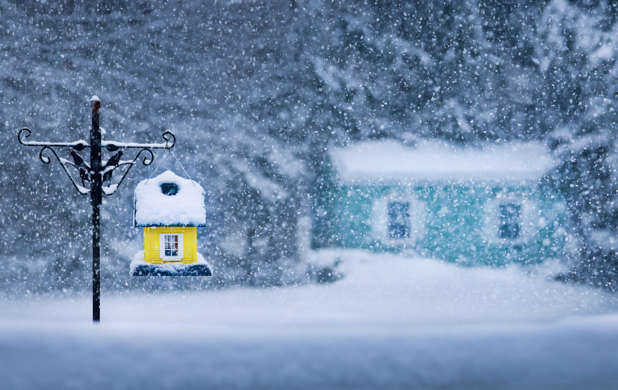 Snowy Wonderland Poster och Canvastavla