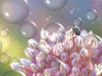 Precious jewel... Poster och Canvastavla