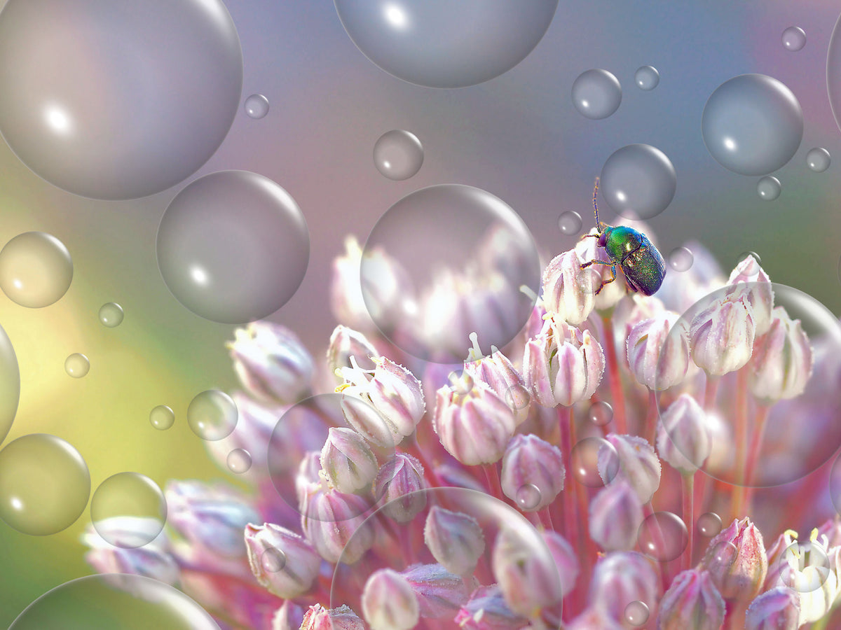 Precious jewel... Poster och Canvastavla