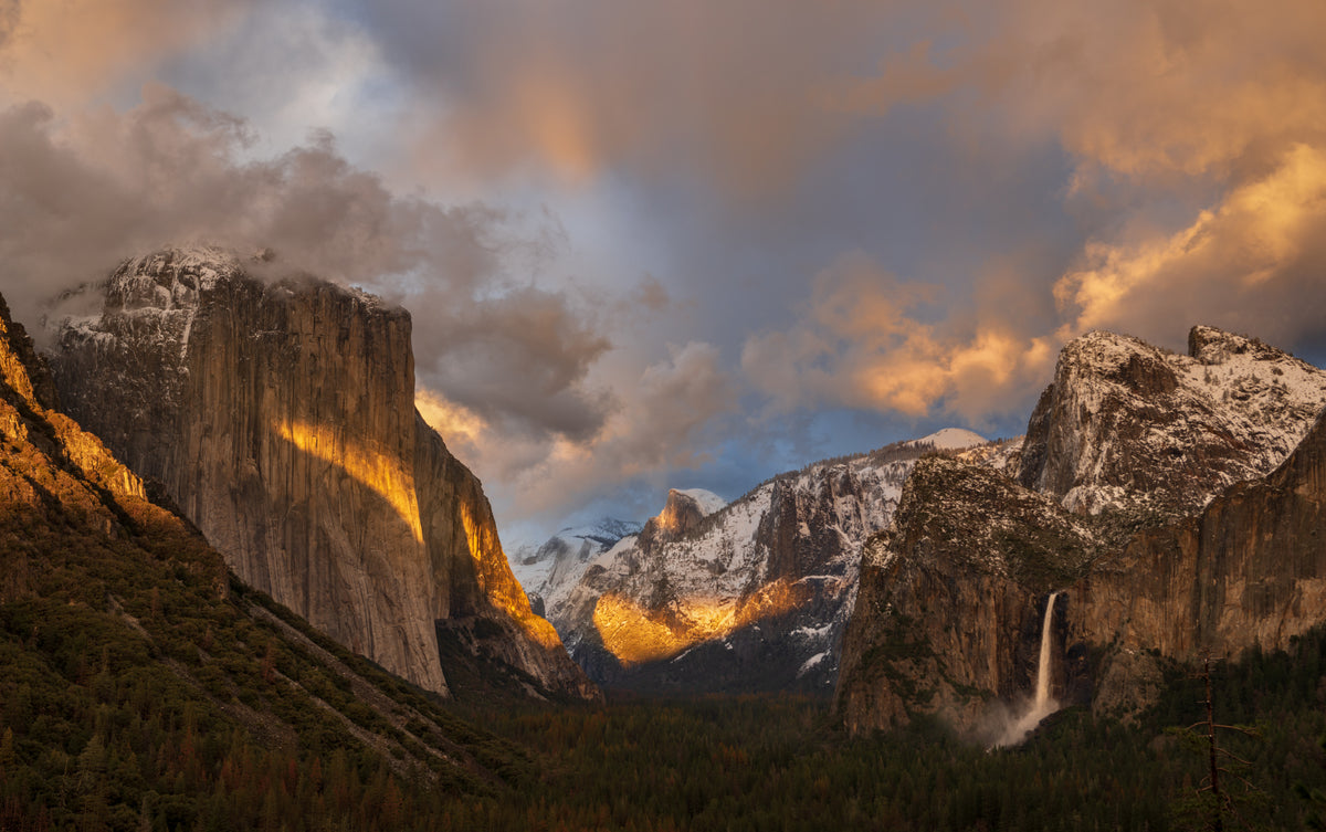 Yosemite NP Poster och Canvastavla