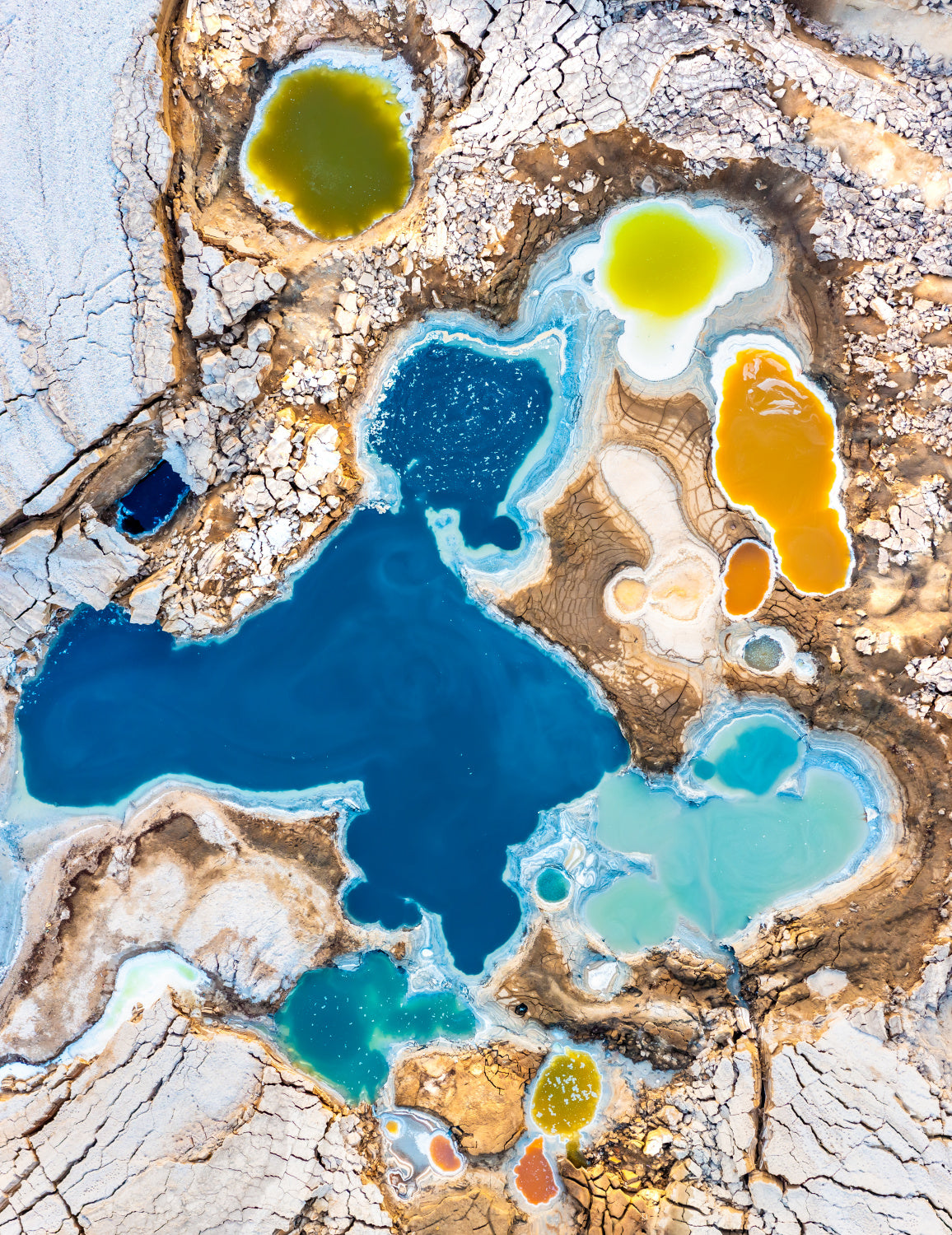 Nature's color palette Poster och Canvastavla
