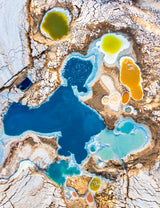 Nature's color palette Poster och Canvastavla