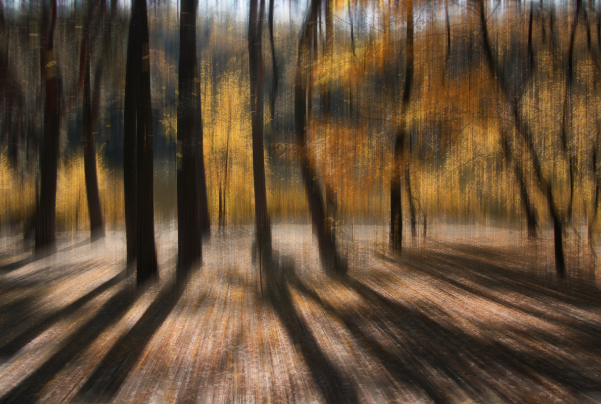 Warm autumn day Poster och Canvastavla