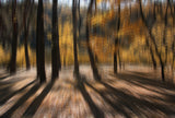 Warm autumn day Poster och Canvastavla