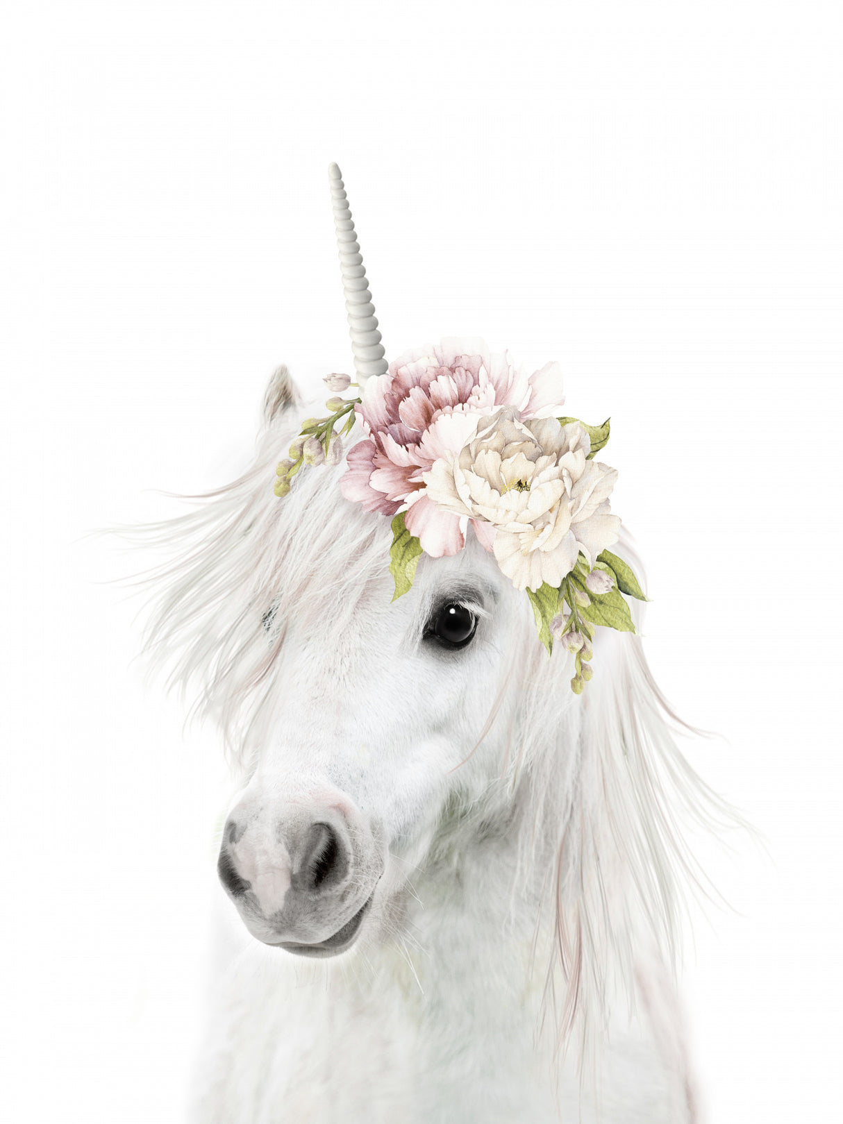 Floral Unicorn Poster och Canvastavla