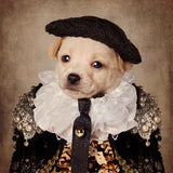 Shelter Pets project - Mia Poster och Canvastavla