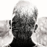Beautiful mind Poster och Canvastavla