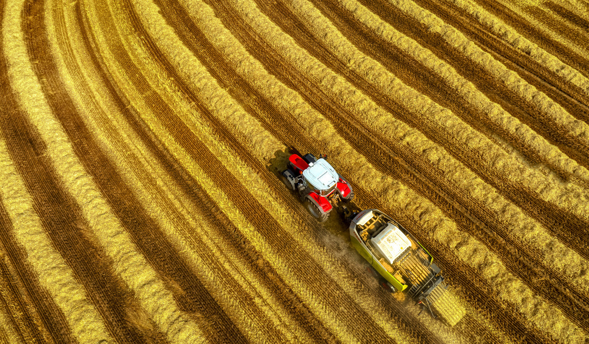 farming Poster och Canvastavla