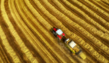 farming Poster och Canvastavla