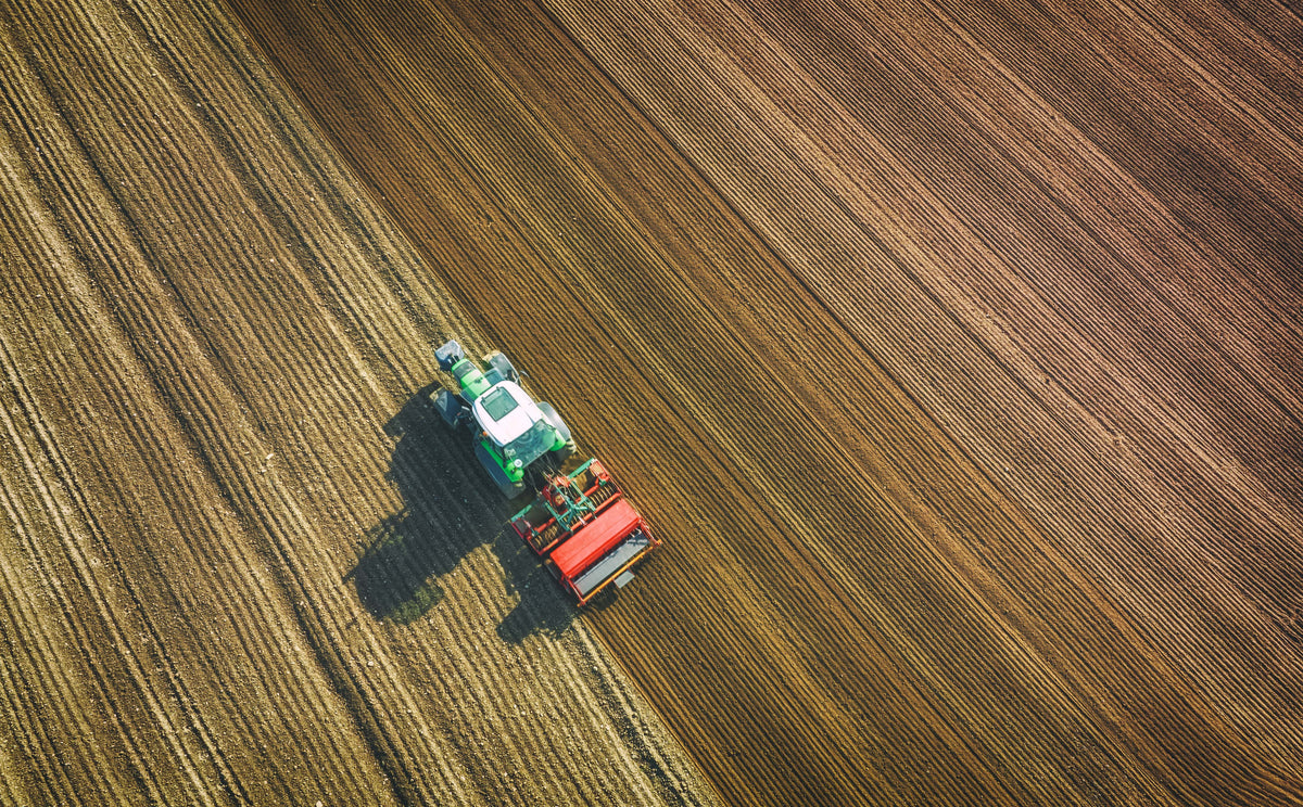 farming Poster och Canvastavla