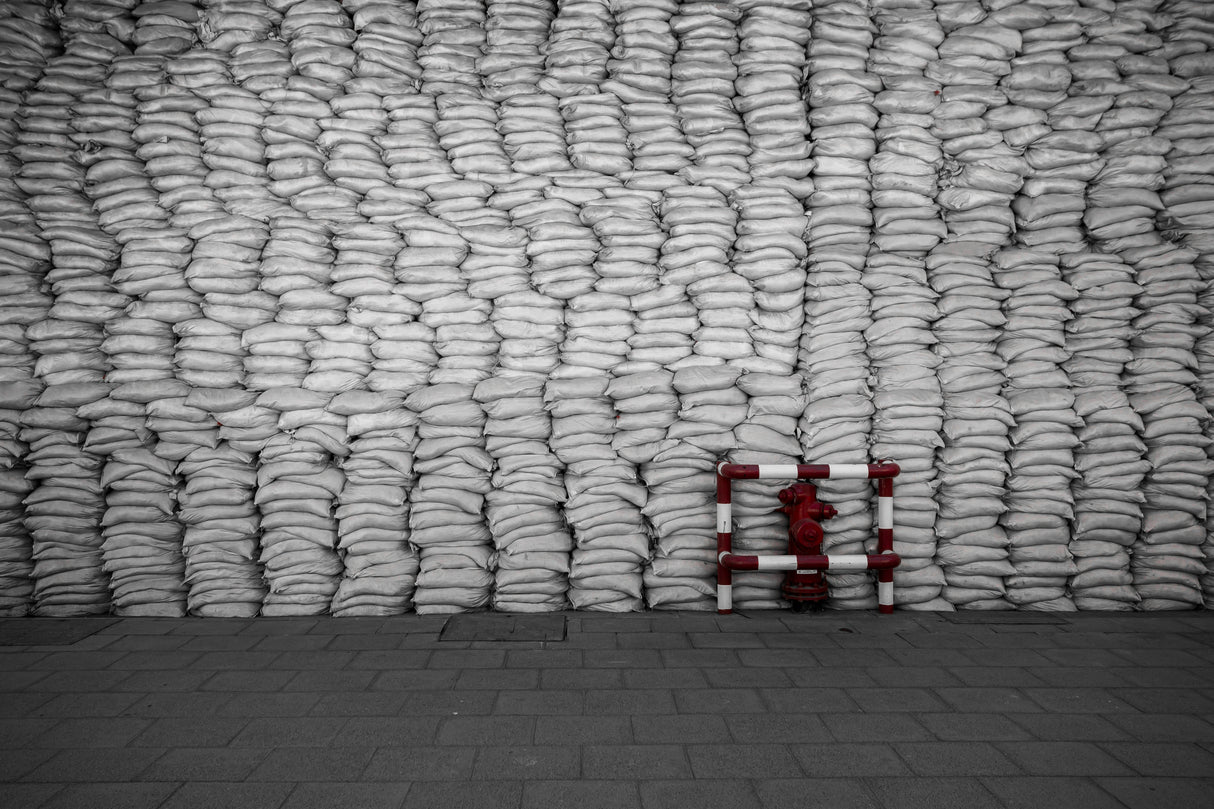 Flour Bags Poster och Canvastavla