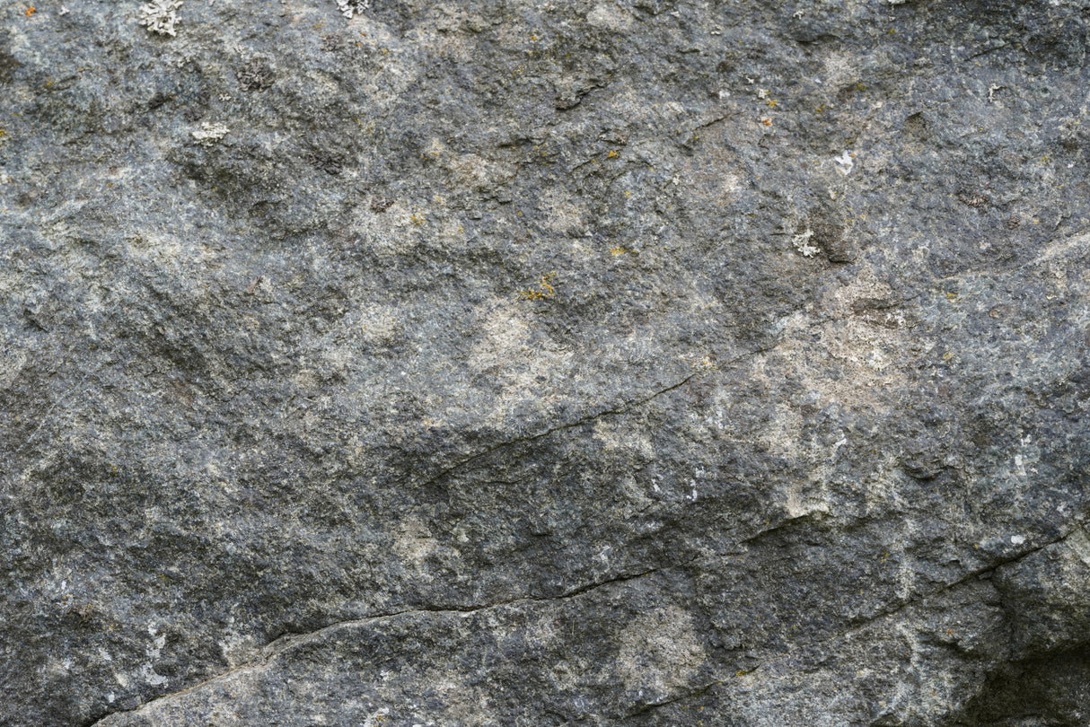 Tex Surface S7 Poster och Canvastavla