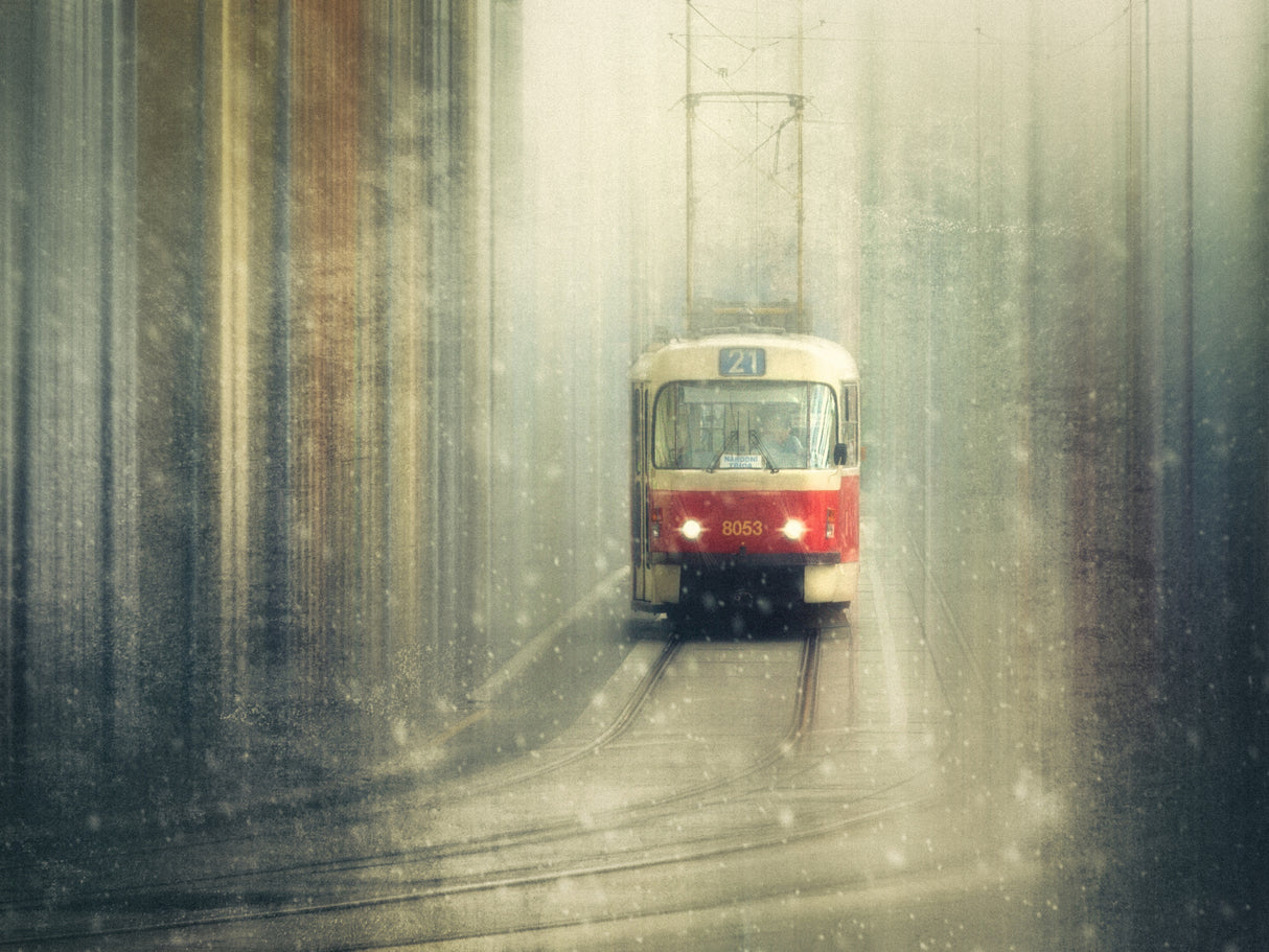 Winter Poster och Canvastavla