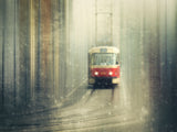 Winter Poster och Canvastavla