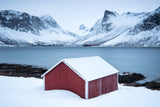 Red hut Poster och Canvastavla
