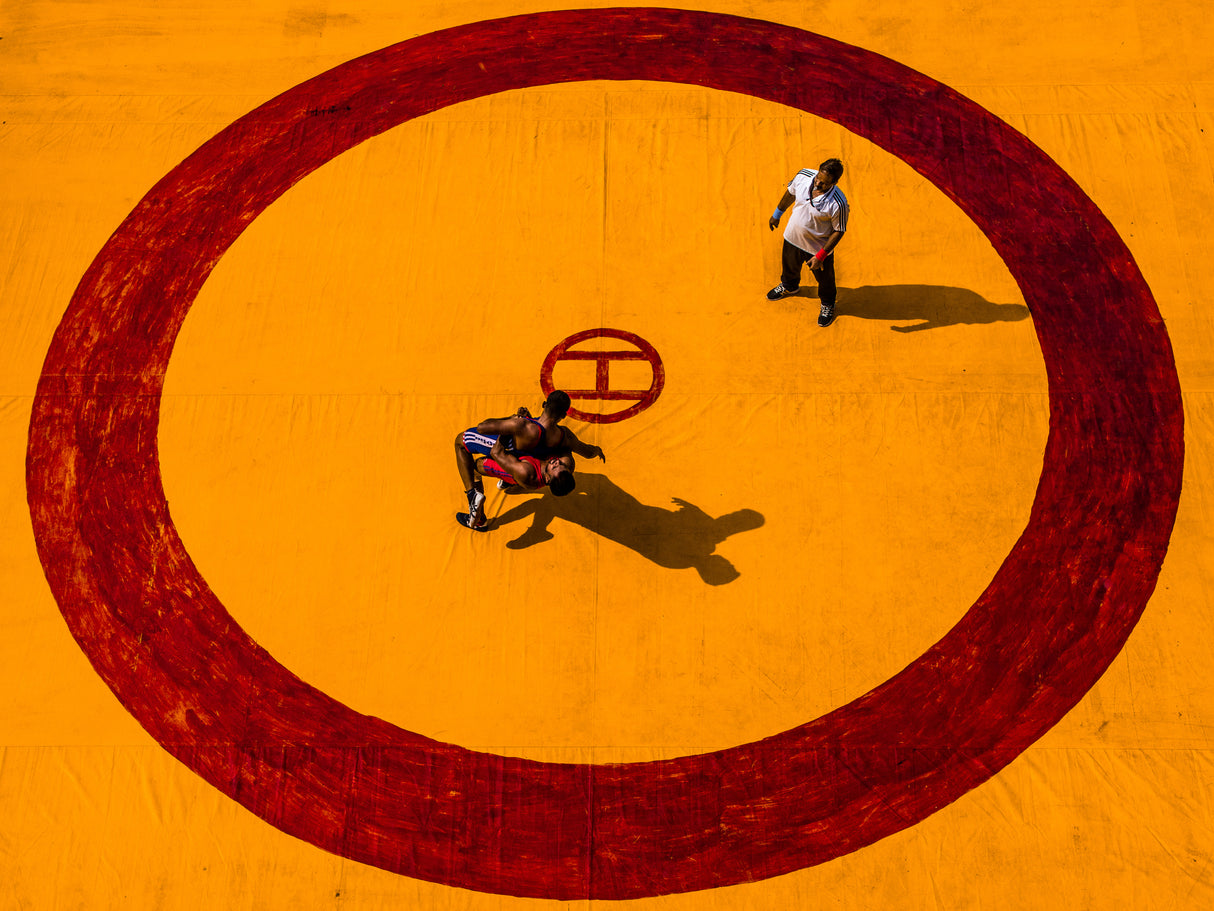 Wrestle in Circle of Yellow Poster och Canvastavla