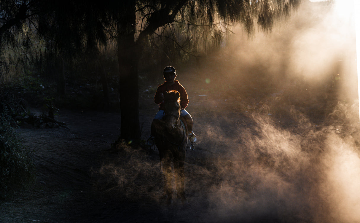 The Cowboy Poster och Canvastavla