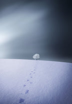 Winter Poster och Canvastavla