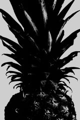 Pineapple bw Poster och Canvastavla