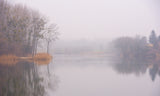 Misty morning Poster och Canvastavla