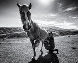 Horse milk Poster och Canvastavla