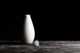 Flower and Vase Poster och Canvastavla