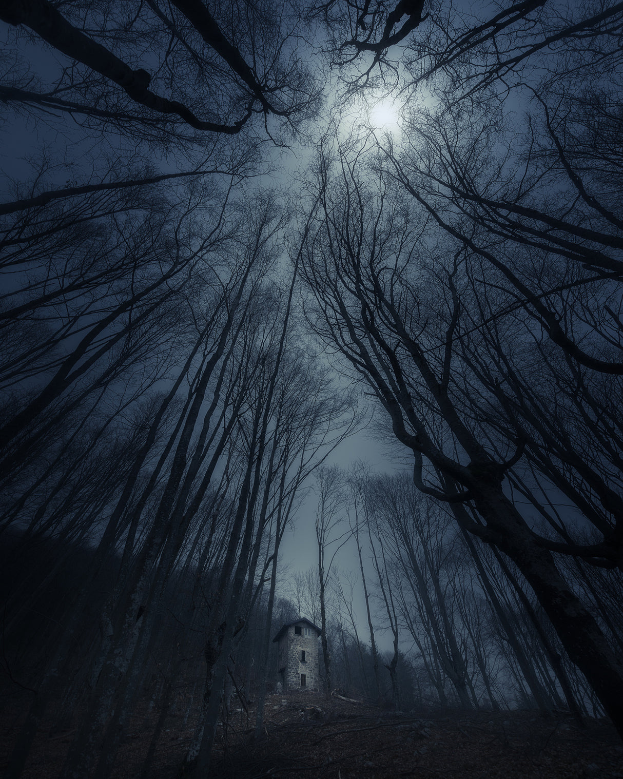 Moon Watchtower Poster och Canvastavla