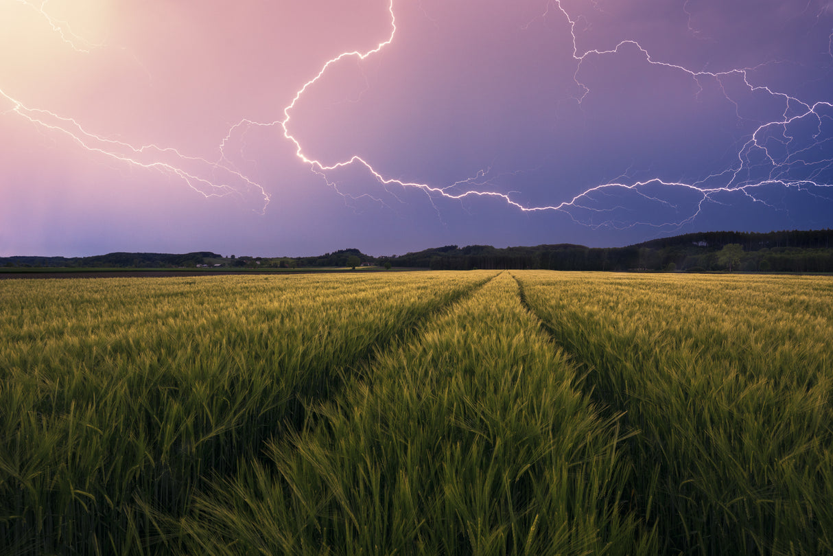 Lightning Poster och Canvastavla