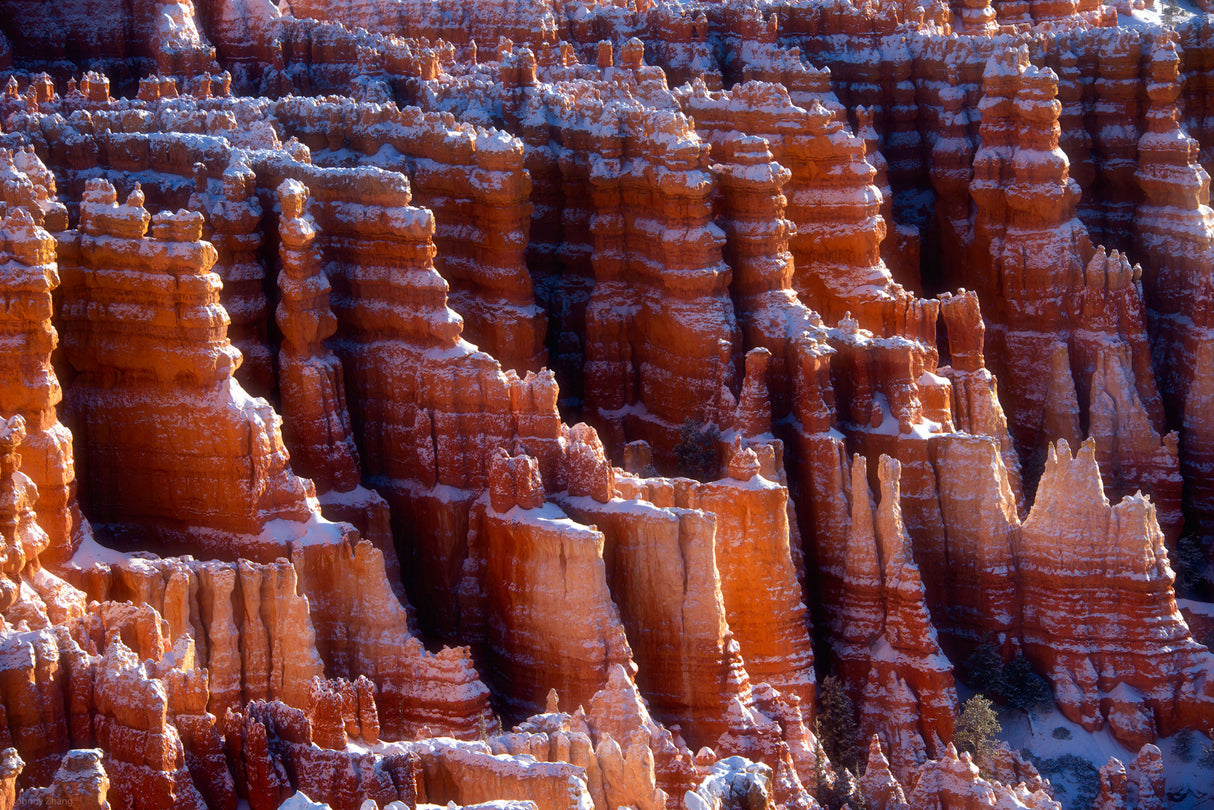 Bryce Hoodoos Poster och Canvastavla