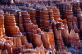 Bryce Hoodoos Poster och Canvastavla