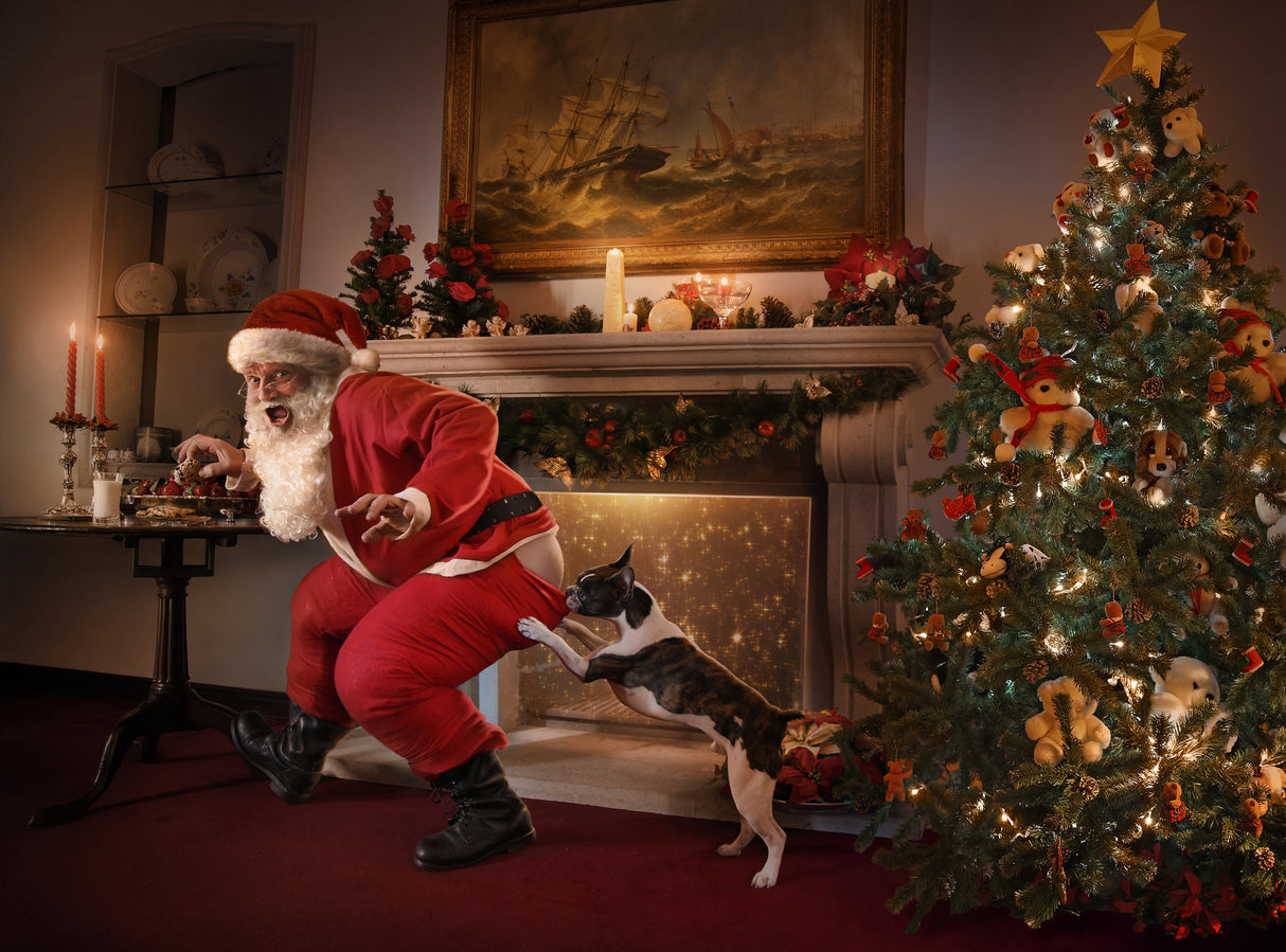 Santa was caught! Poster och Canvastavla