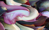 The colors in leaves Poster och Canvastavla