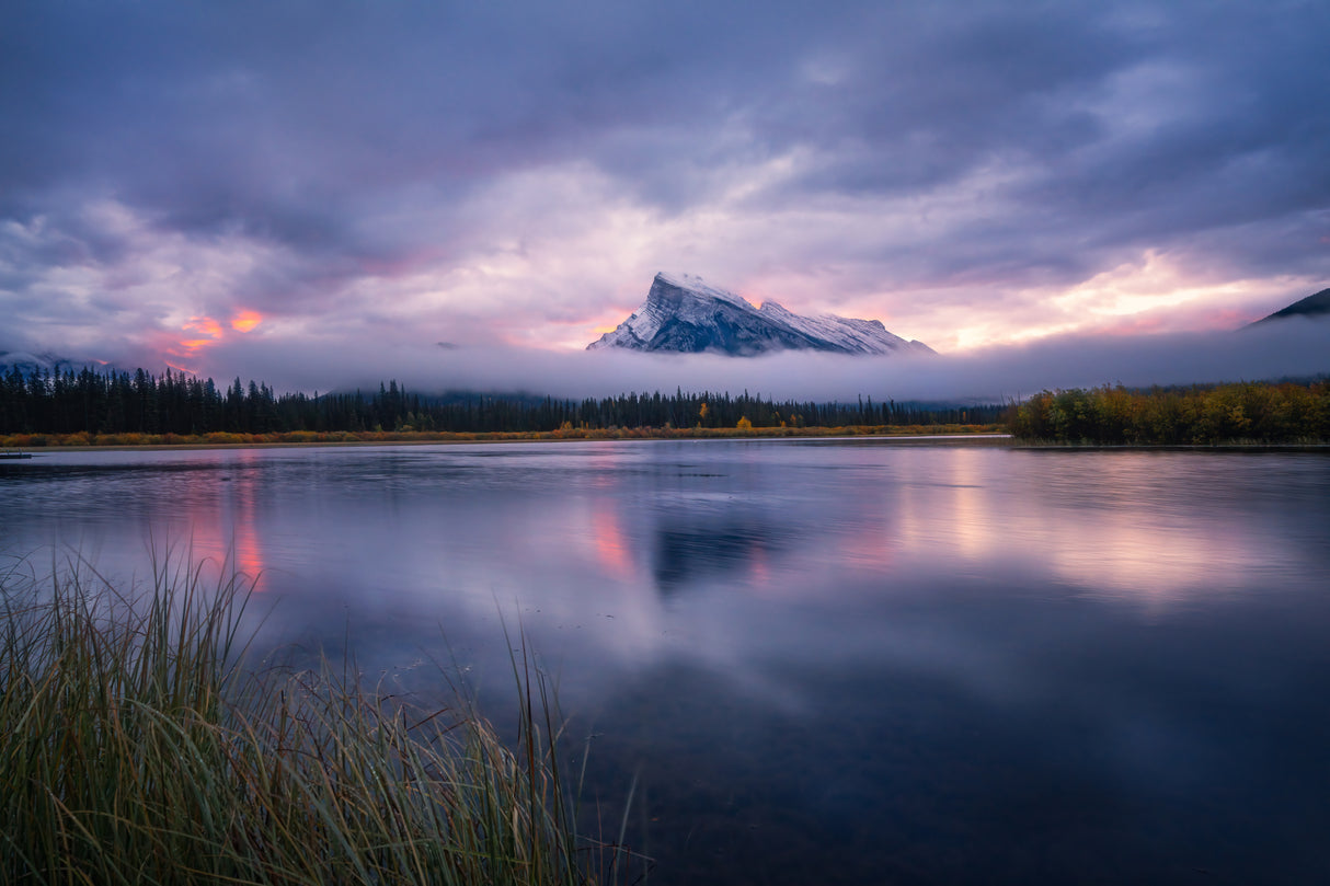 The Rundle Poster och Canvastavla
