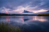 The Rundle Poster och Canvastavla