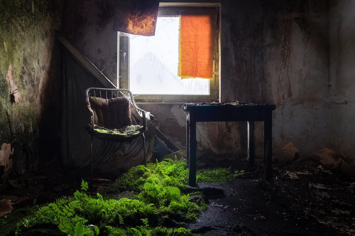 Plants in Line Poster och Canvastavla