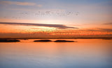 by sunset Poster och Canvastavla