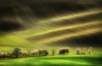 Moravian Fields Poster och Canvastavla