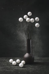 Still life with a bouquet of white balls Poster och Canvastavla