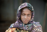 Eyes of Tigray Poster och Canvastavla